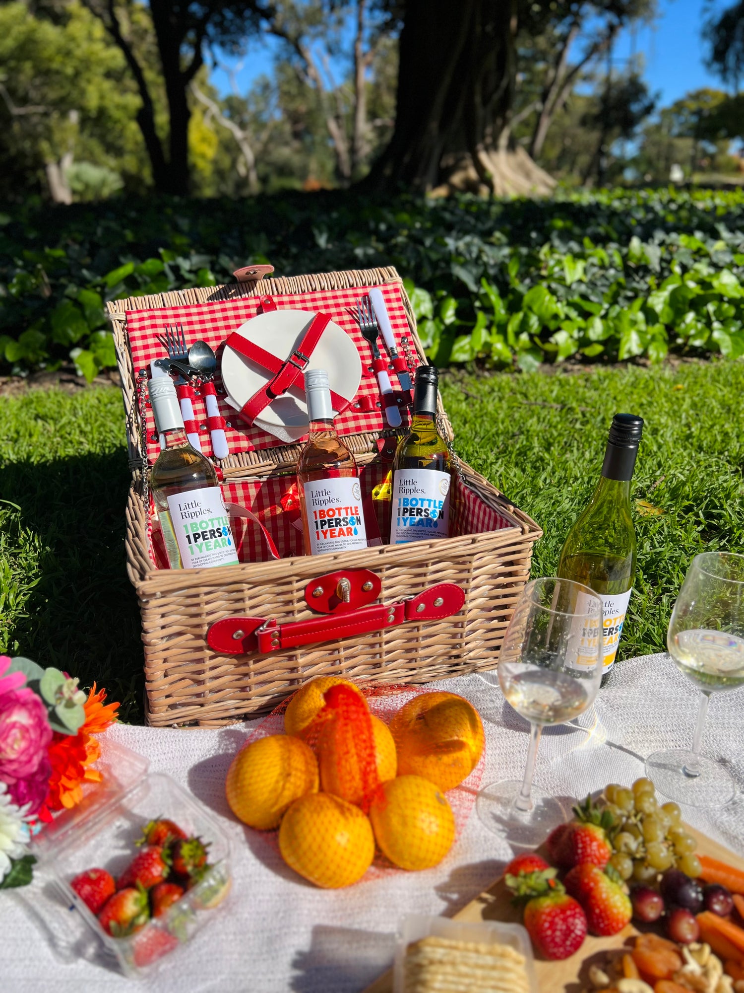 Little Ripples Australian Wine at Summer Picnic Party